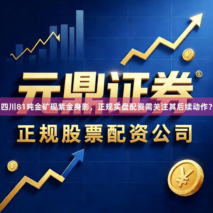四川81吨金矿现紫金身影，正规实盘配资需关注其后续动作？