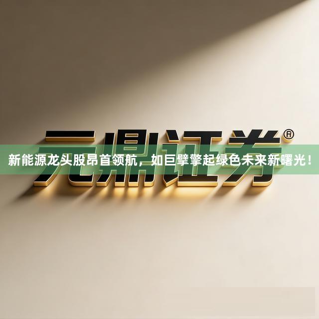 新能源龙头股昂首领航，如巨擘擎起绿色未来新曙光！